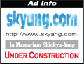 skyang.com